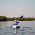 Paddling toward Ding Darling Nature Preserve